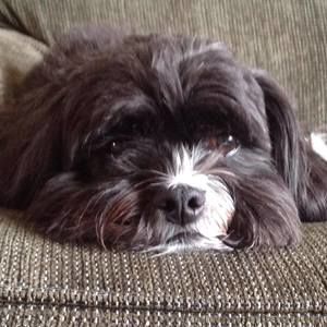 Meet your Posher, Kris